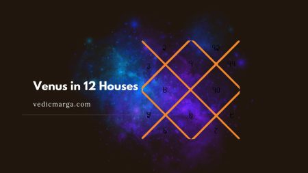 Venus in 12 Houses in Vedic Astrology Venus in 12 Houses