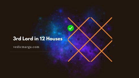 3rd Lord in 12 Houses