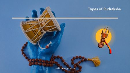 29 Types of Rudraksha and Their Benefits Types of Rudraksha