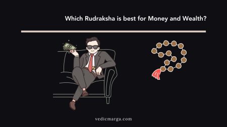 6 Best Rudraksha for Wealth, Business, and Prosperity Best Rudraksha for Money and Wealth