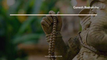Ganesh Rudraksha: Benefits, Price and Originality Ganesh Rudraksha