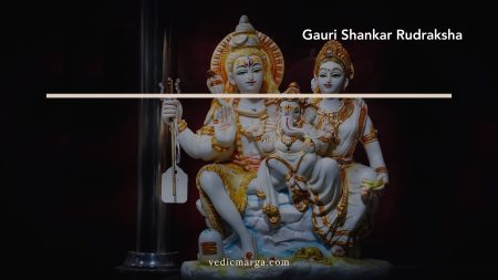 Gauri Shankar Rudraksha: A Sacred Symbol of Love and Harmony Gauri Shankar Rudraksha