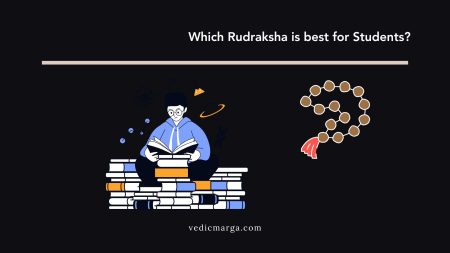 Which Mukhi Rudraksha Is Best for Students | Astrological Guide Which Rudraksha is best for student