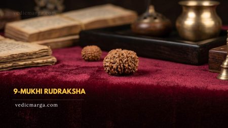 9 Mukhi Rudraksha: The Sacred Bead of Goddess Durga 9 Mukhi Rudraksha